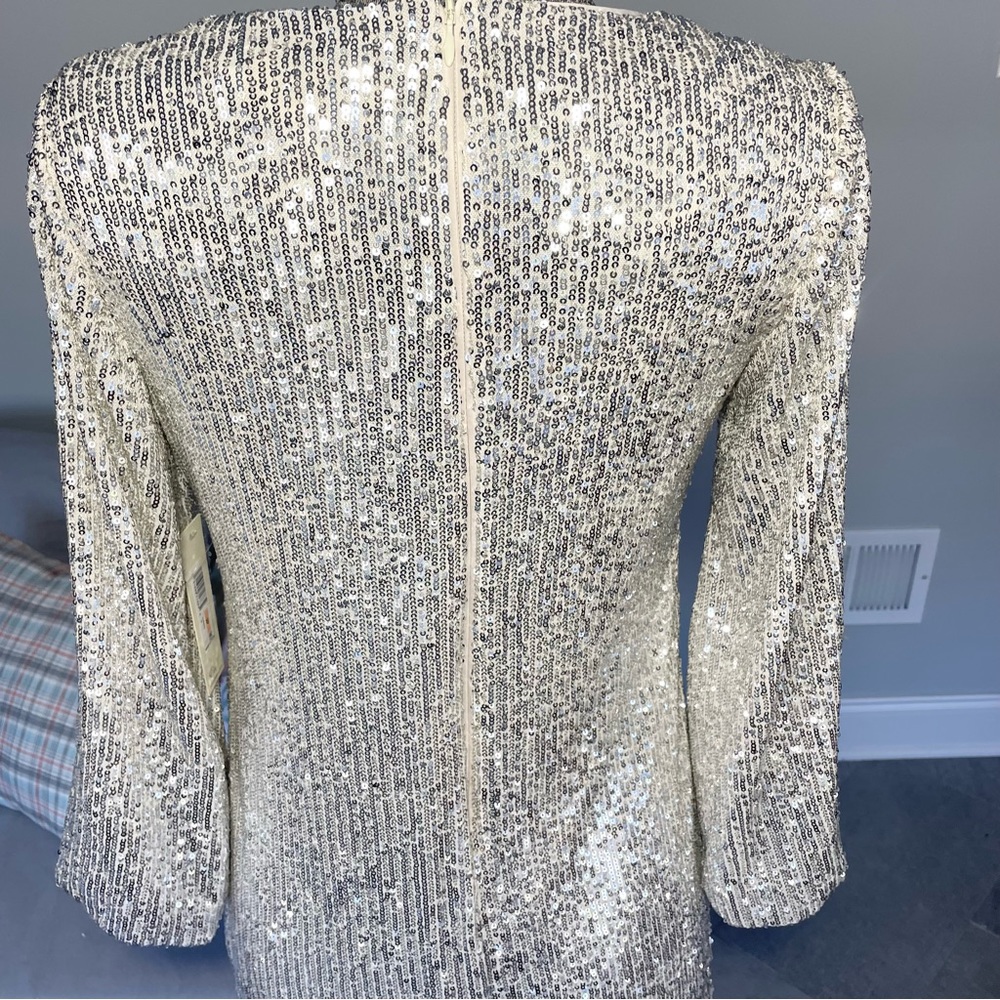 NWT Silver, and cream, Eliza J, double layered sequence dress - Picture 5 of 13